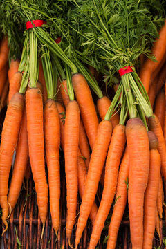 freshly harvested, organic carrots in a basket at farmer's market. vertical, close up