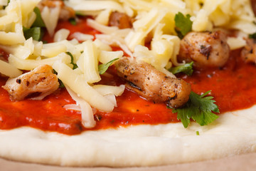 tasty Italian pizza with cheese and chiken