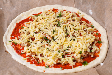 tasty Italian pizza with cheese and chiken