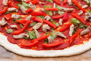 tasty Italian pizza with cheese and chiken