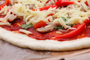 tasty Italian pizza with cheese and chiken
