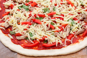 tasty Italian pizza with cheese and chiken