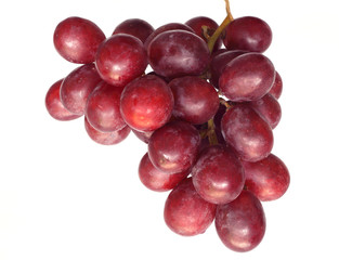 red grape isolated on white