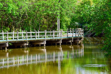 Bike way besides the canal at Bang Kachao Park, Thailand