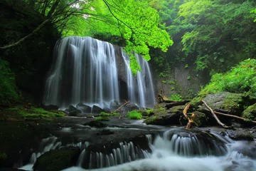 Foto op Plexiglas 夏の達沢不動滝 © yspbqh14
