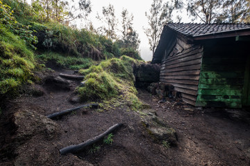 Old abandoned log cabin in the forest with stairway in the morning