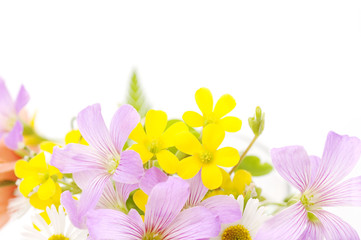 bouquet of field flowers, floral background