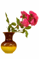 red rose flower in a brown vase