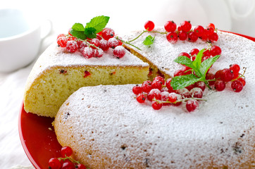 Vanilla sponge cake with fresh red currants