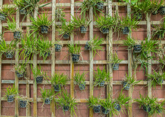 Wood frame decorate with Green flower on the wall.