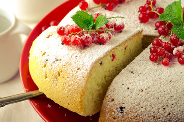 Vanilla sponge cake with fresh red currants