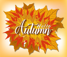 Vector illustration for autumn and thanksgving