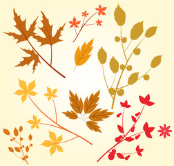 Vector illustration for autumn and thanksgving