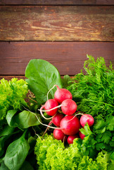 Large bunch of fresh Organic vegetables, radish, spinach, salad and greens on old wooden table, closeup