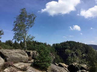 felsige Aussicht Sächsische Schweiz
