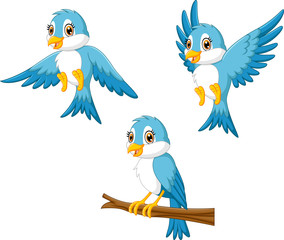 Blue bird cartoon 