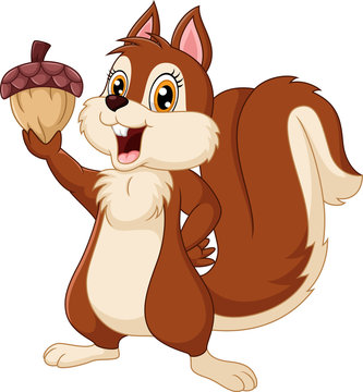 Cute squirrel cartoon holding acorn