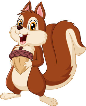 Cute squirrel cartoon holding nut