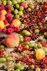 Summer fruits and berries - red, black and white currants, raspb