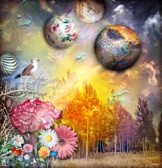 Photo sur Plexiglas Imagination Paysage de contes de fées avec coucher de soleil magique