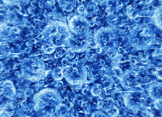 motion many bubbles in flow transparent water