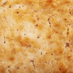 Close-up texture of a crust