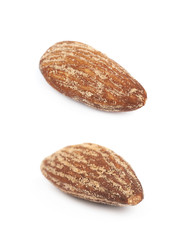Almond nut isolated