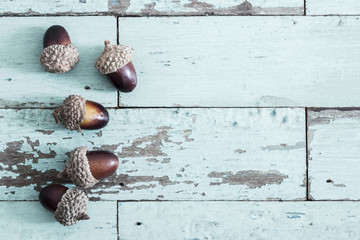 Acorn on vintage wooden background