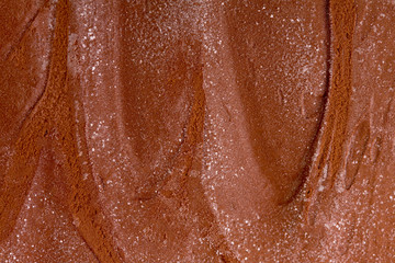 Fototapeta premium Chocolate ice cream. Closeup photo.