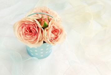 Delicate garden roses in vintage tin bucket blue polka dot, ribbons. Soft focus on buds, blurry dreamy background.