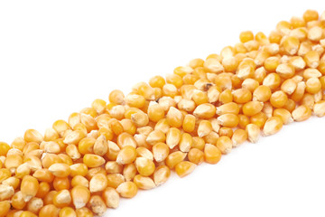 Line pile of corn kernels isolated