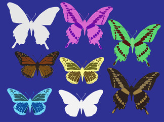 eight color butterflies isolated on blue