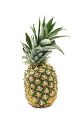 Ripe pineapple fruit isolated