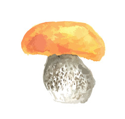 Watercolor mushrooms. Healthy food for autumn nature concept. Delicious edible mushrooms.