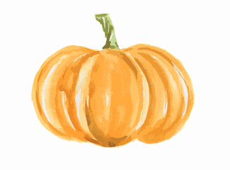 Isolated watercolor pumpkin. Fresh and healthy vegetable with vitamins. Farm vegetables.