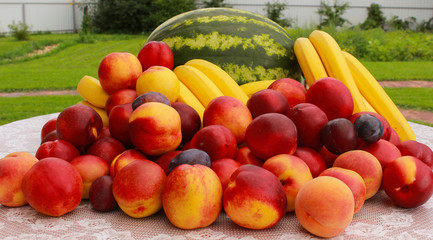Fruits and watermelon