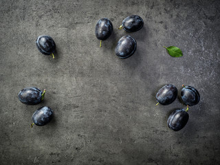 blue plums on dark background