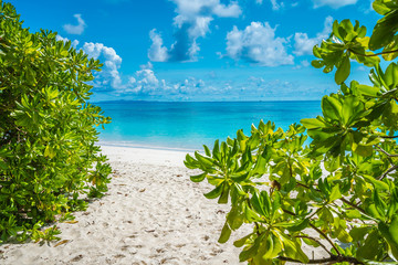 Fototapeta na wymiar Beautiful tropical island white sand beach summer holiday - Travel summer vacation concept.