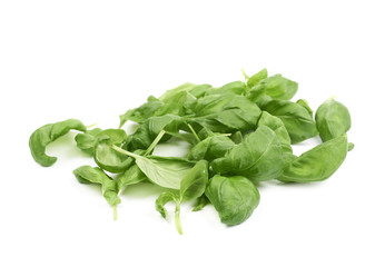 Pile of basil leaves isolated