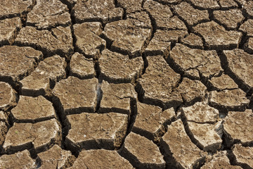 Cracked soil ground in  dry season.