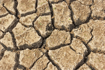 Fototapeta premium Cracked soil ground in dry season as background.