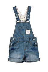 Children's wear - jean overalls isolated over white background