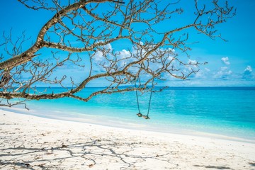 Swing on beautiful tropical island white sand beach summer holiday - Travel summer vacation concept.