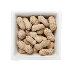 Groundnut