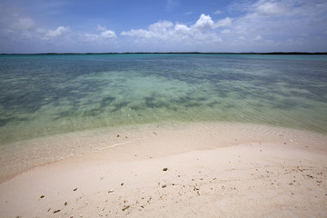 Landscape seaview with sand, clear blue water and cloudy sky at Bonaire, Caribbean sea.