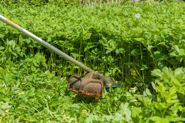 Gasoline lawn trimmer mowing green grass. The differences between the grass and still not mown grass with trimmer in the middle