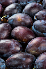 Background of plums