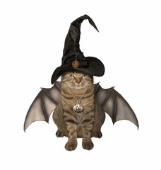A cat in a hat has wings on the white background.. It looks like a bat.