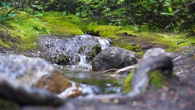Small brook and stones with green moss and sound of nature