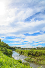 Fototapeta premium 田園風景